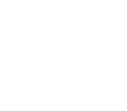 Pain Free For Good white logo
